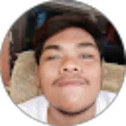 Review From Frans Trisna