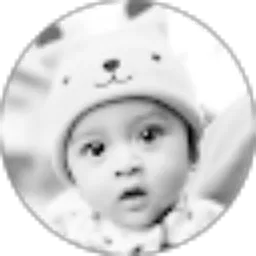 Review From Freddy Septian