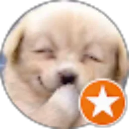 Review From putra franklin