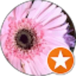 Review From Adithia Hardianti Pertiwi