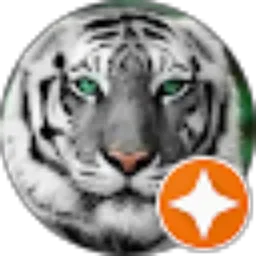 Review From Arda Putra