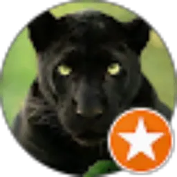 Review From Agus Indra