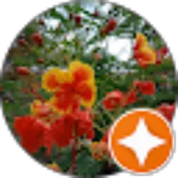 Review From Waty Samad