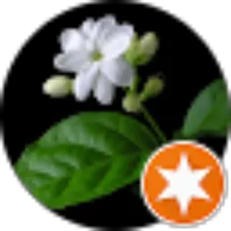 Review From Alfira Rizky Pratiwi