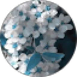 Review From fidelisany ushadiningsih