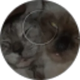 Review From Abubeby Beby