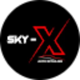 Review From Sky-X Auto Detailing