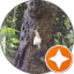 Review From Rano Susanto