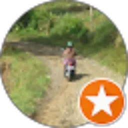 Review From erni meirina astutik