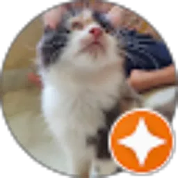 Review From Yoyok Adi basuki