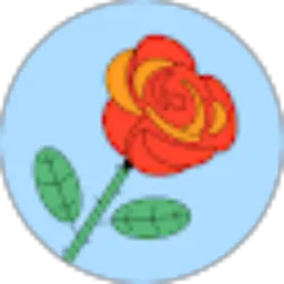 Review From Muhammad Rizky