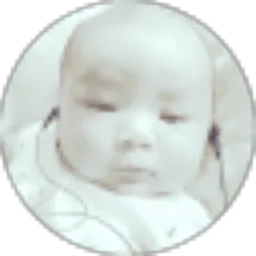 Review From Febri Cat Rest