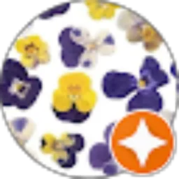 Review From Indah Aprilinadewi