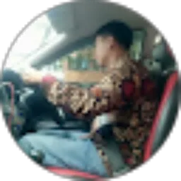 Review From Pelianus Waruwu