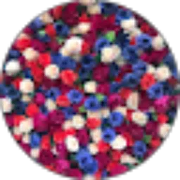 Review From suci rizka