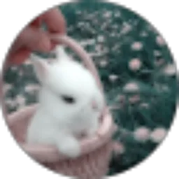 Review From Jelyscha Tjiu