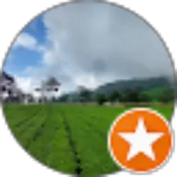 Review From Hary Setyawan