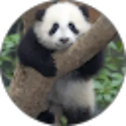 Review From Eben Bangun