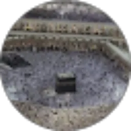 Review From antiku antimo