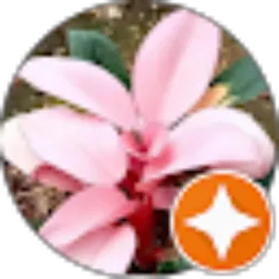 Review From dayu satriyani