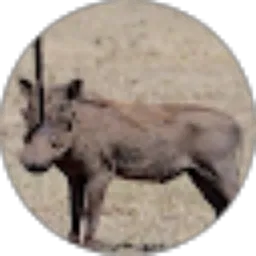 Review From MenZzDaQq03 03