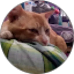 Review From Saifudin Gituloh