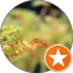 Review From Mohammad Hanif