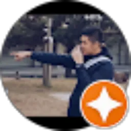 Review From vincentivans