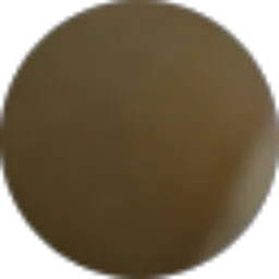 Review From dhonatus lie