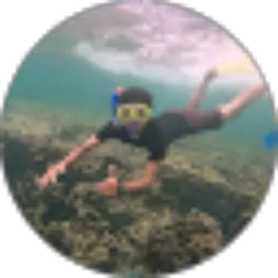 Review From Iwan Setiawan