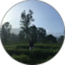 Review From Faris Azhar Syam