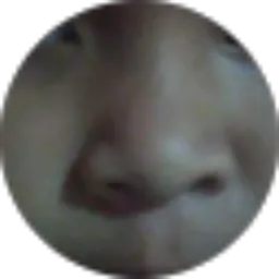 Review From Sutriono