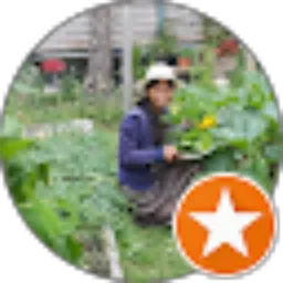 Review From Ima Vandam Channel