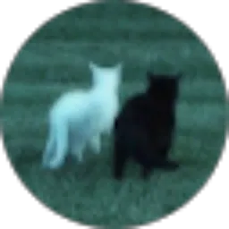 Review From Afita Martalia