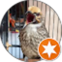 Review From Vheris Adhi