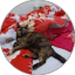 Review From Ragilia Gayatri