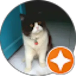 Review From sann sann