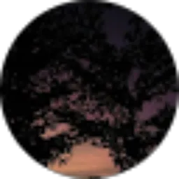 Review From Amanda Salsabilla