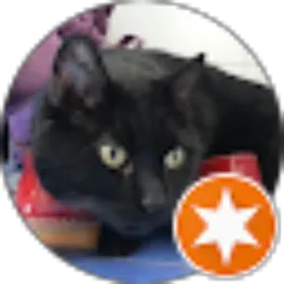 Review From enza donatini