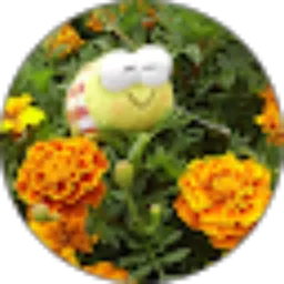 Review From Eming Mutahar