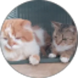 Review From Ade Rusdi