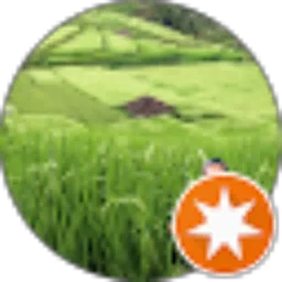 Review From Rams Gio