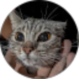 Review From Adi Purnama