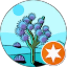 Review From Local Traveler