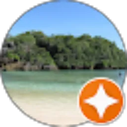 Review From Hani Ananta Yudha