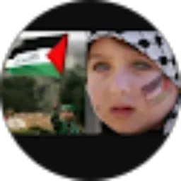 Review From zong zong