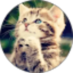 Review From Suwandi Saputra