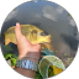 Review From Dhani Prakoso