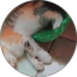 Review From aan rufandi