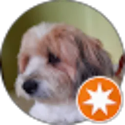 Review From Veronica Sukmawati